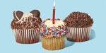 Cupcake Pictures